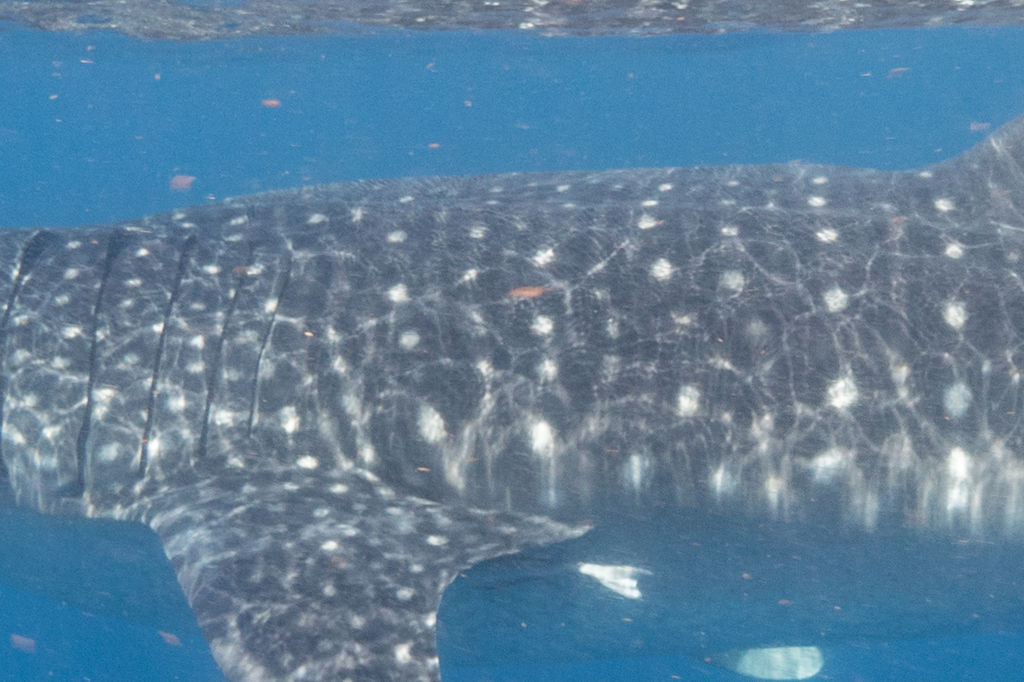 883d2cba-dcb3-4613-b59c-bd30f7916ae8