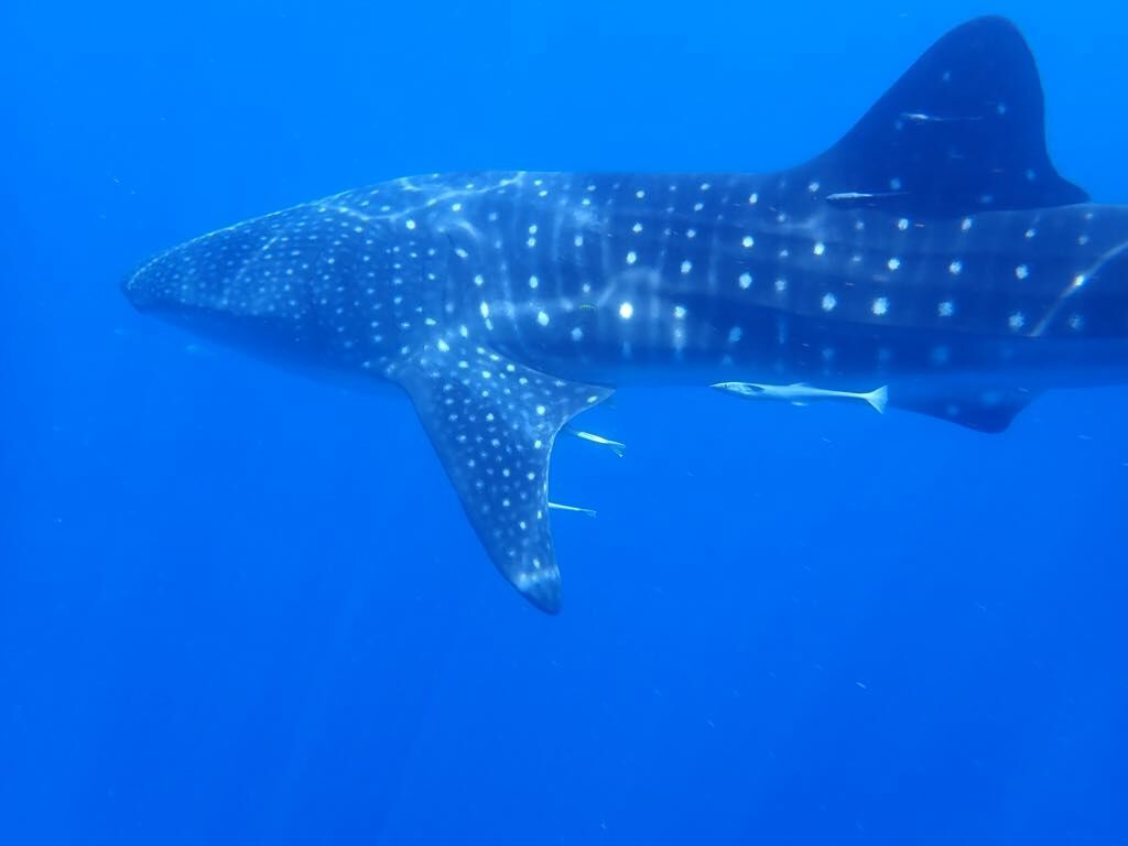 281611e7-18ec-4cbc-87eb-c8b471eb2e14