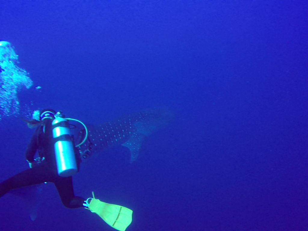 448217f8-e8dd-4056-a0b9-50879082e9b5