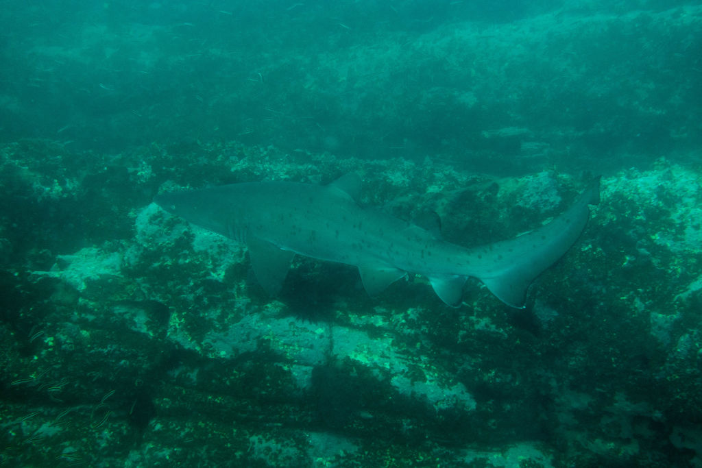 16ef553c-12af-4626-b17a-88d26d8ad85e