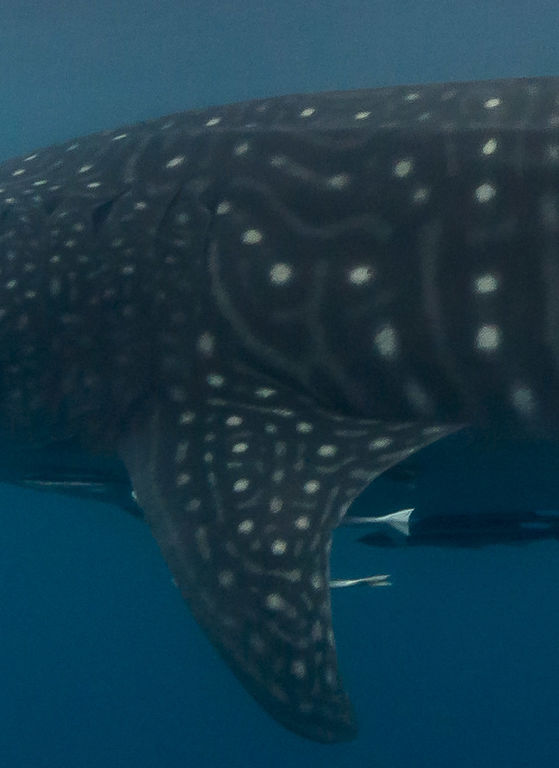 60a992aa-ead1-4dcd-85d9-6a72b1549bfb