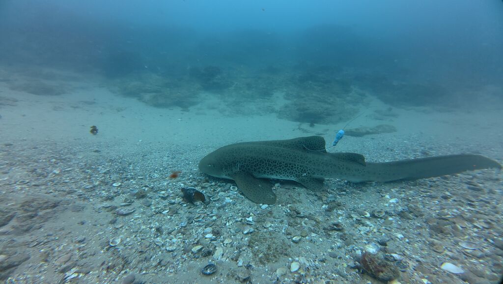 459c9ed8-e2dd-457e-ba8c-2ad09f48ad1d