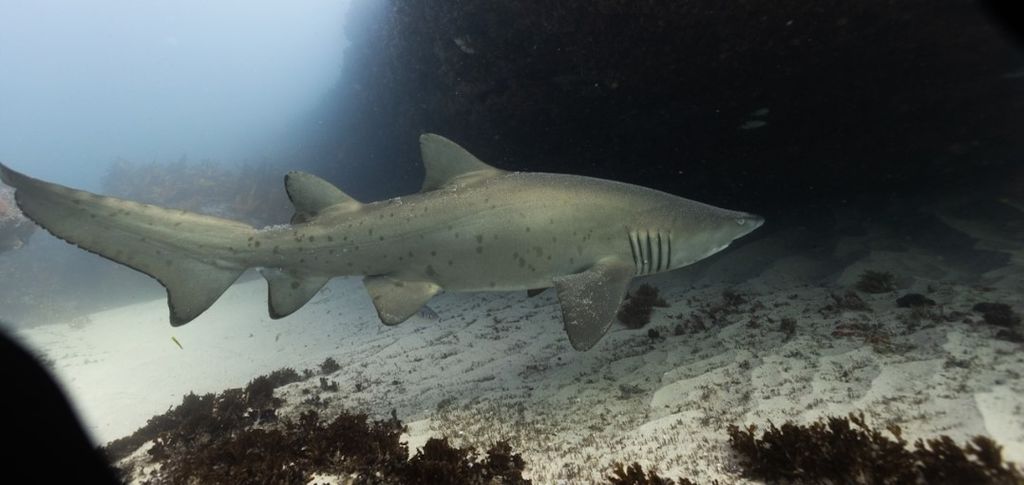 9b7f185a-b599-4a2a-8d77-2e62ed4d6b6c