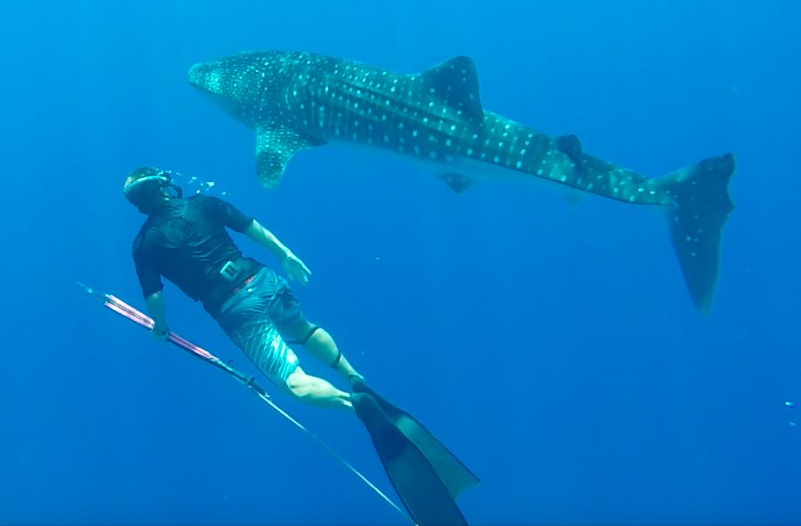 2a509f07-cbc9-4346-ab00-1386e918bf62