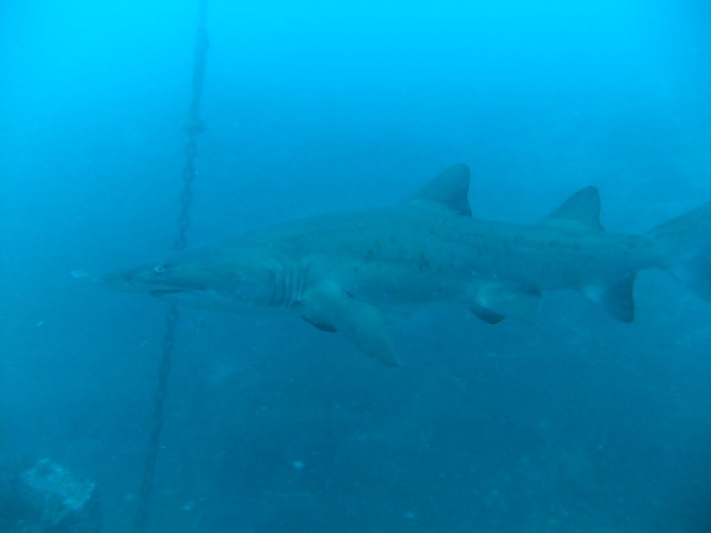 f197bbd8-9aae-4d58-b808-49d9df75e7f6