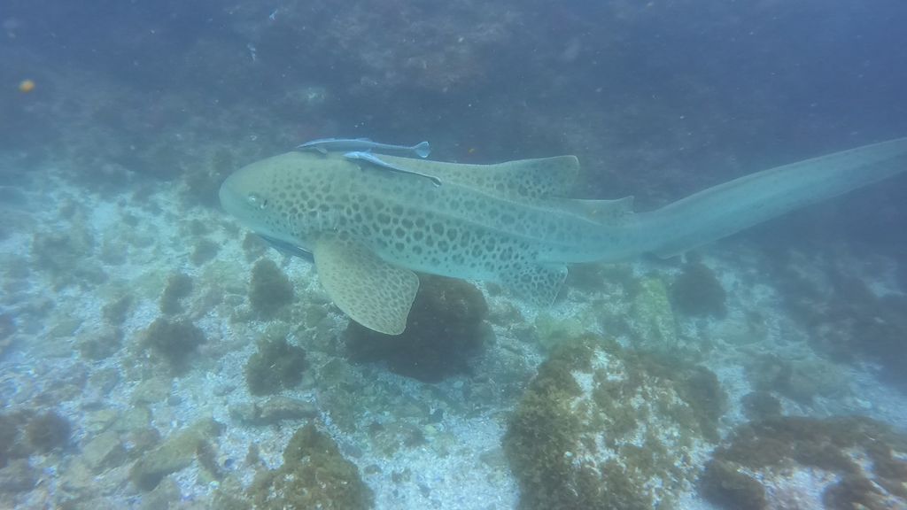 1812cc49-c89c-4d2a-a262-8b94ebd90ab4