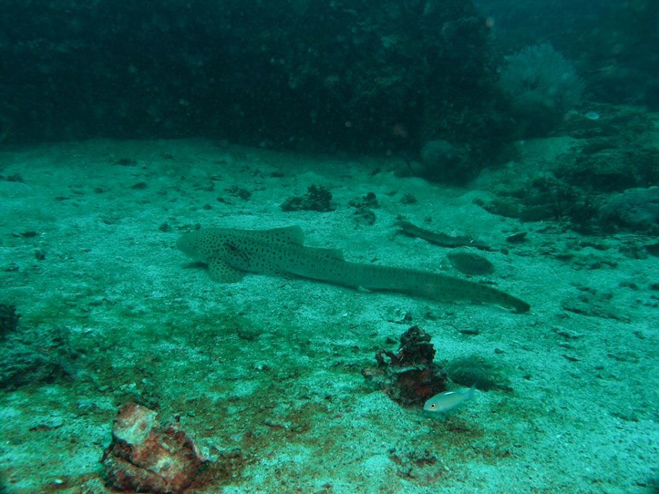 18935a8e-9441-4aa9-a14e-920e05b86764