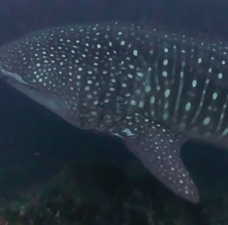 8f2c6b15-2d5a-4091-a022-75bb6b6f8200