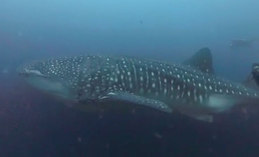 8f2c6b15-2d5a-4091-a022-75bb6b6f8200