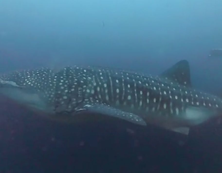 8f2c6b15-2d5a-4091-a022-75bb6b6f8200