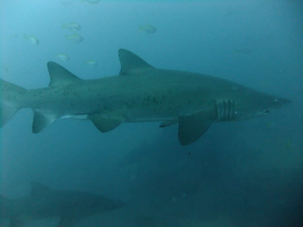 b8a7fa58-945f-4e0d-8795-9842d97da59a