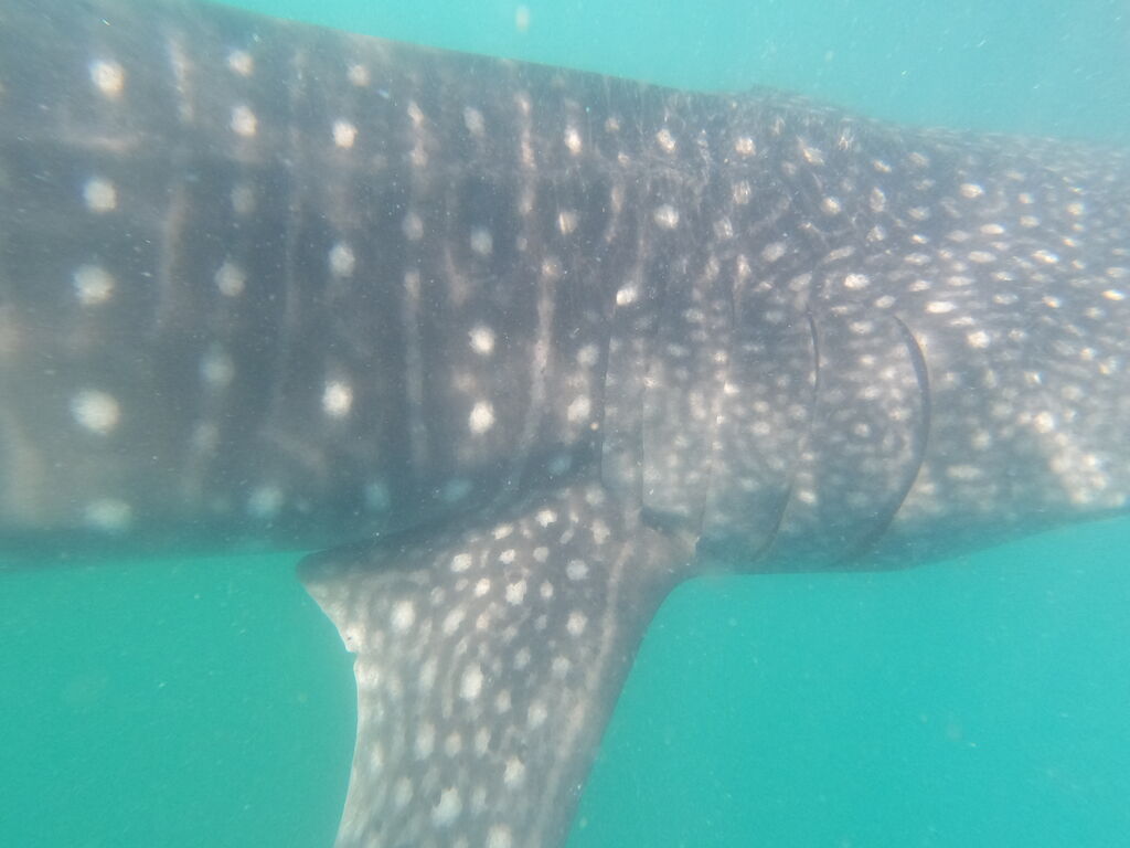 72ad7b8b-3e22-429d-a319-abc4d579accb