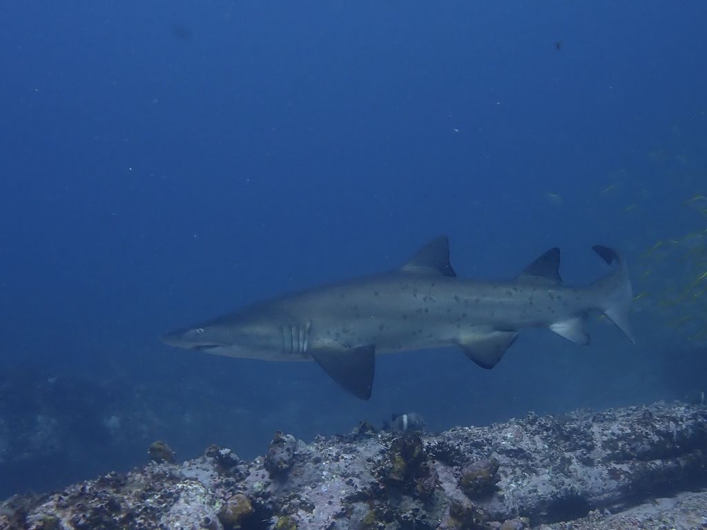 6e749683-da72-4e76-a184-2f290575a9a0