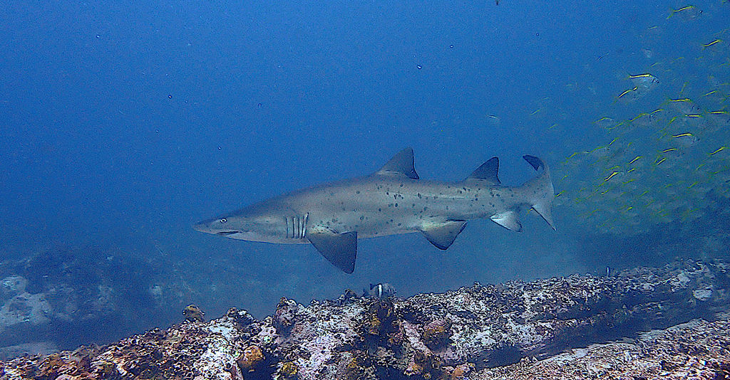 6e749683-da72-4e76-a184-2f290575a9a0