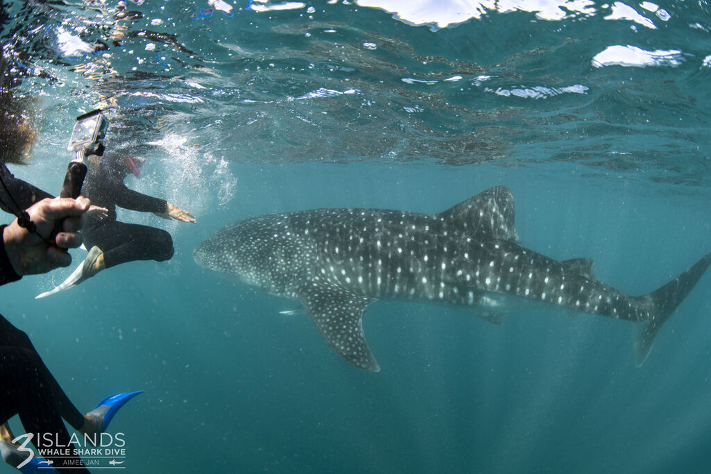 fb5ada7d-ead1-494c-a449-fb8c56f81c7c