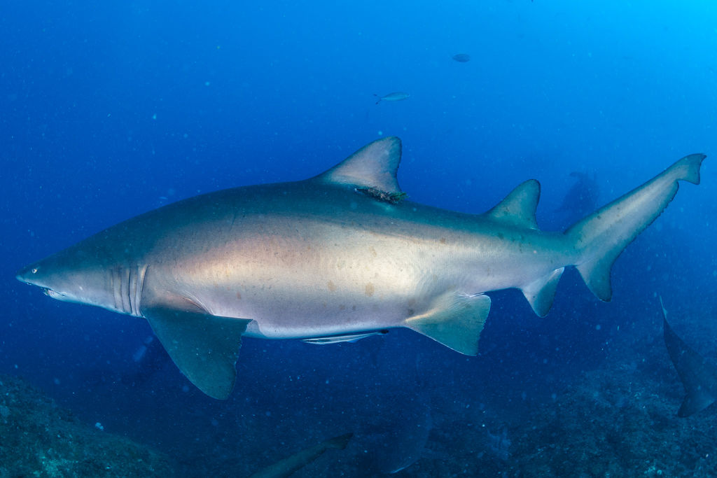 9b8a010b-0e37-4dc9-9a6b-73bfd0e7a2e8