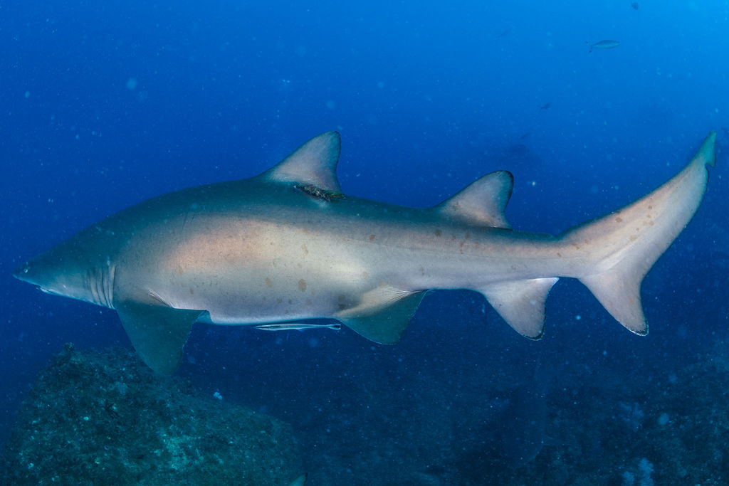 9b8a010b-0e37-4dc9-9a6b-73bfd0e7a2e8