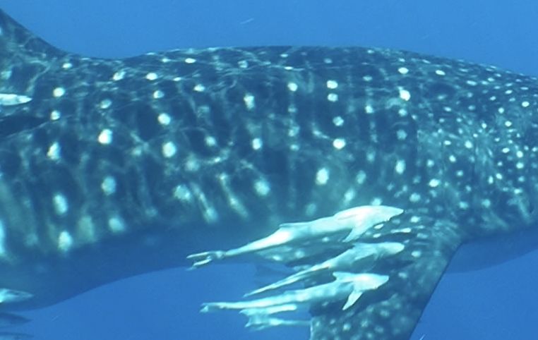 2115f60b-8d12-4d5e-bb3e-8211bba14840