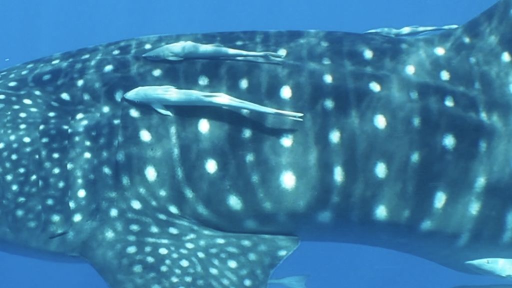 2115f60b-8d12-4d5e-bb3e-8211bba14840