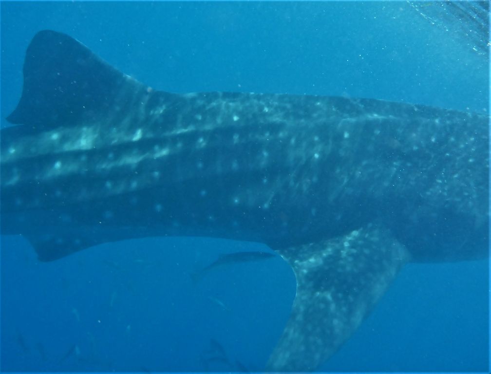 73be617f-45c5-46a8-a18c-5b79fee214b4