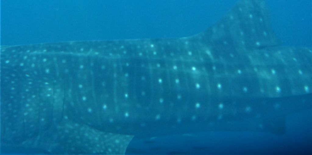 73be617f-45c5-46a8-a18c-5b79fee214b4