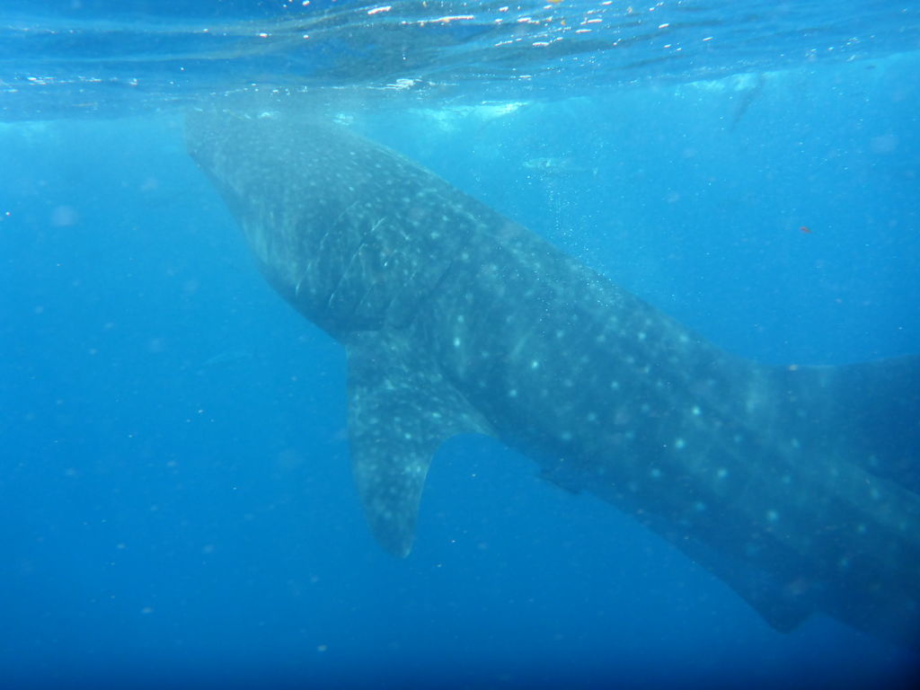 73be617f-45c5-46a8-a18c-5b79fee214b4