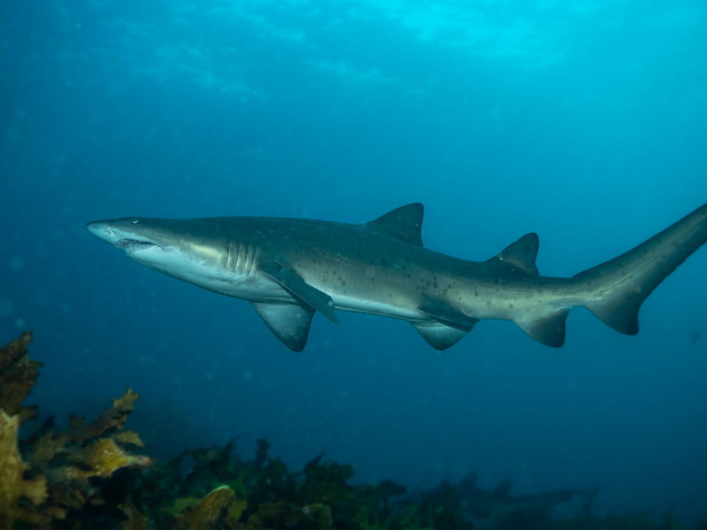 de289851-66b0-4ec2-ab5b-c9ea89e0640c