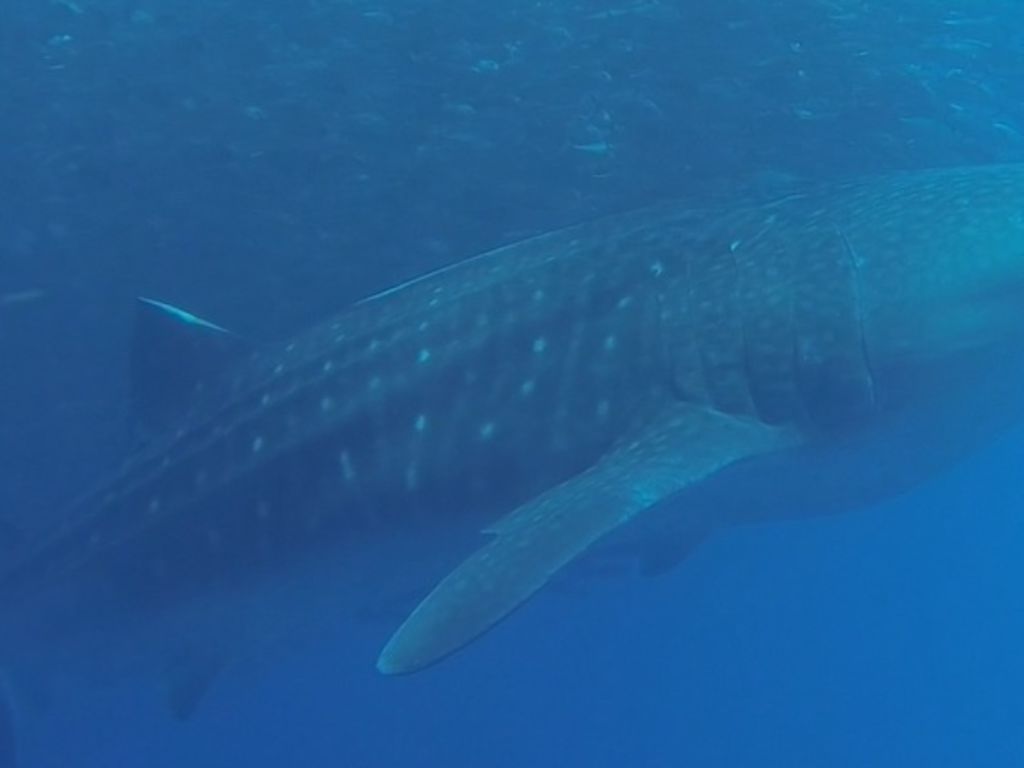 df3c3b72-2562-49c4-8f65-1f08908609ab