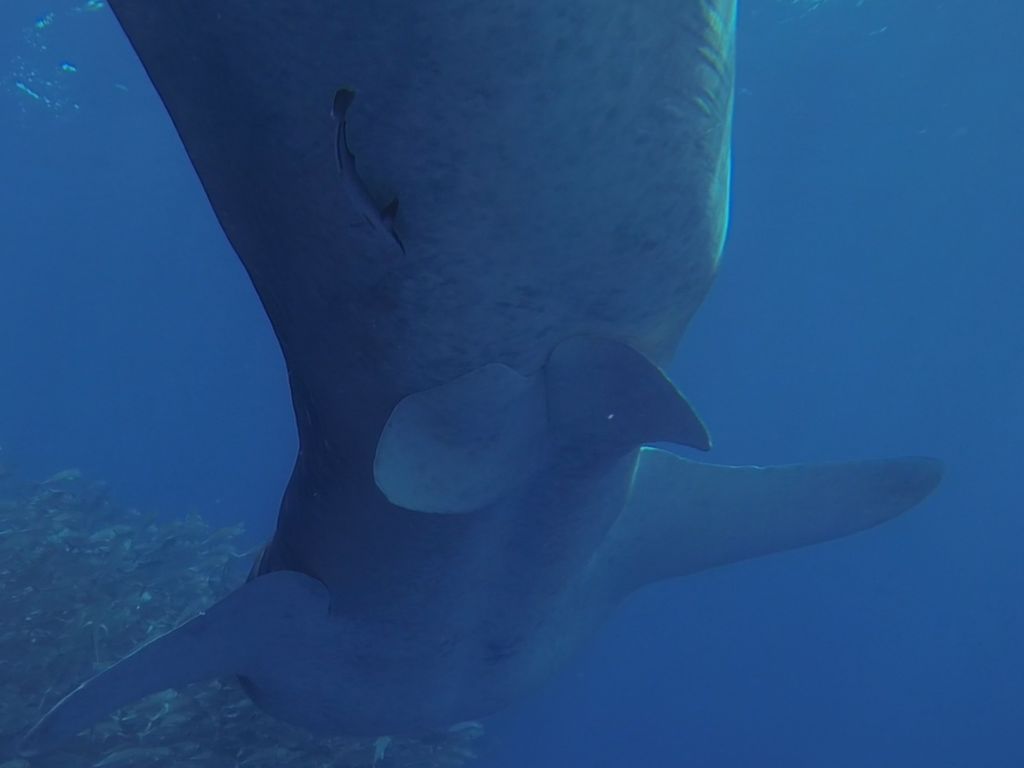 df3c3b72-2562-49c4-8f65-1f08908609ab