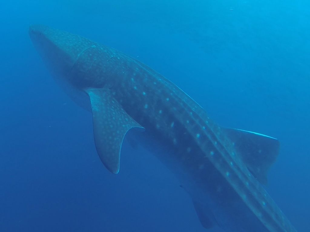 df3c3b72-2562-49c4-8f65-1f08908609ab