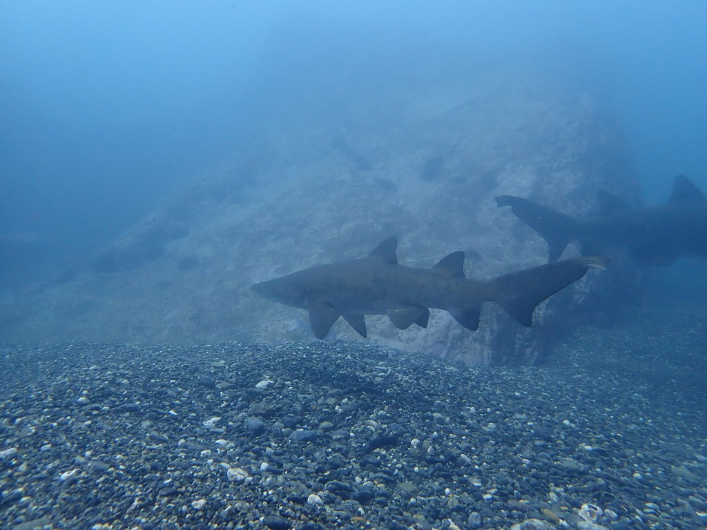 47094b36-b8b0-49a2-bc47-4eb20f0be913