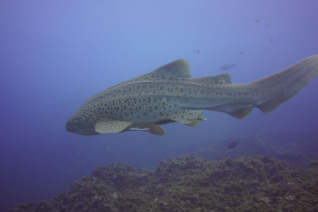 c7b1e7a4-38b0-46d1-8cc3-73570ad9913b