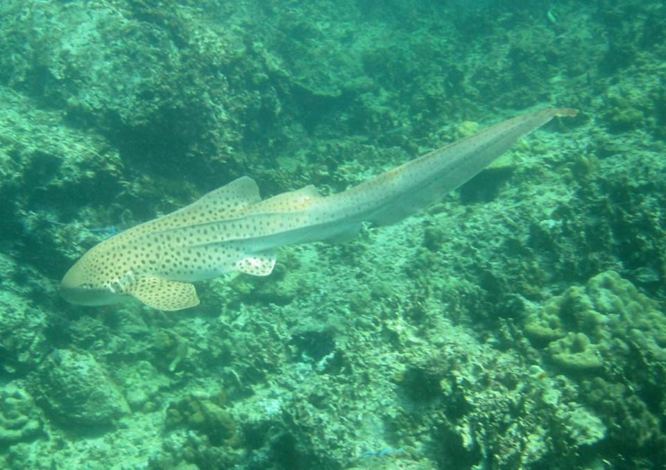 28443df7-5b93-425d-92d4-64887358b81a