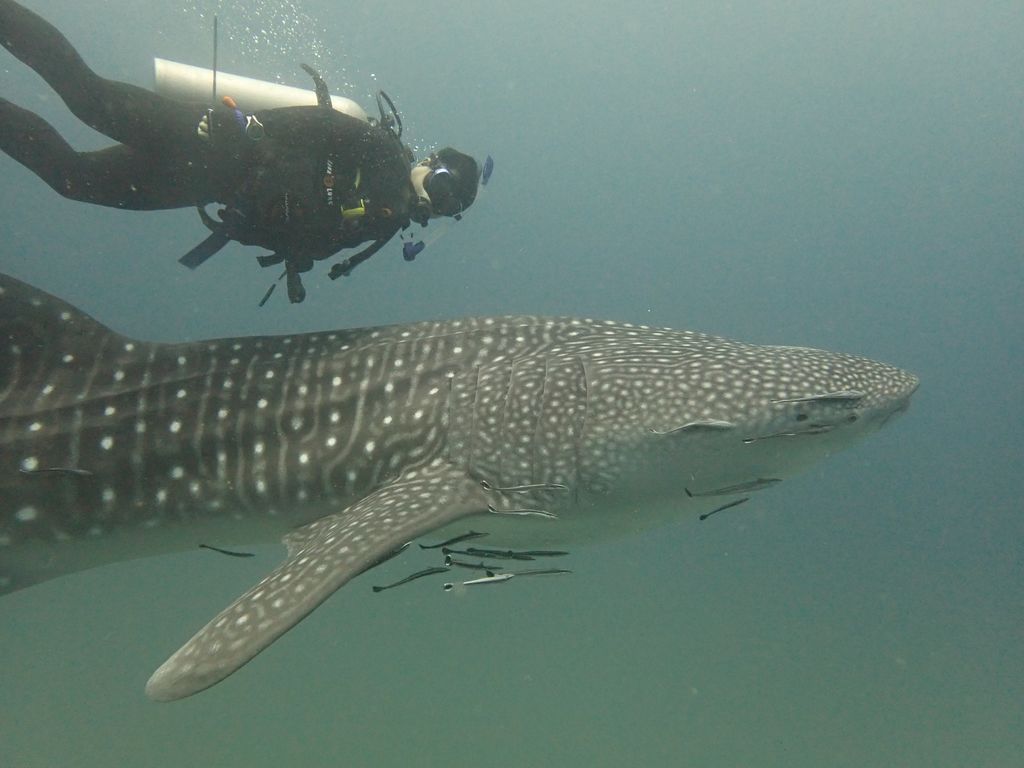 12bffd3c-a37f-4b72-8aba-c2180d937cd1