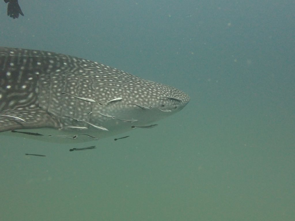 12bffd3c-a37f-4b72-8aba-c2180d937cd1