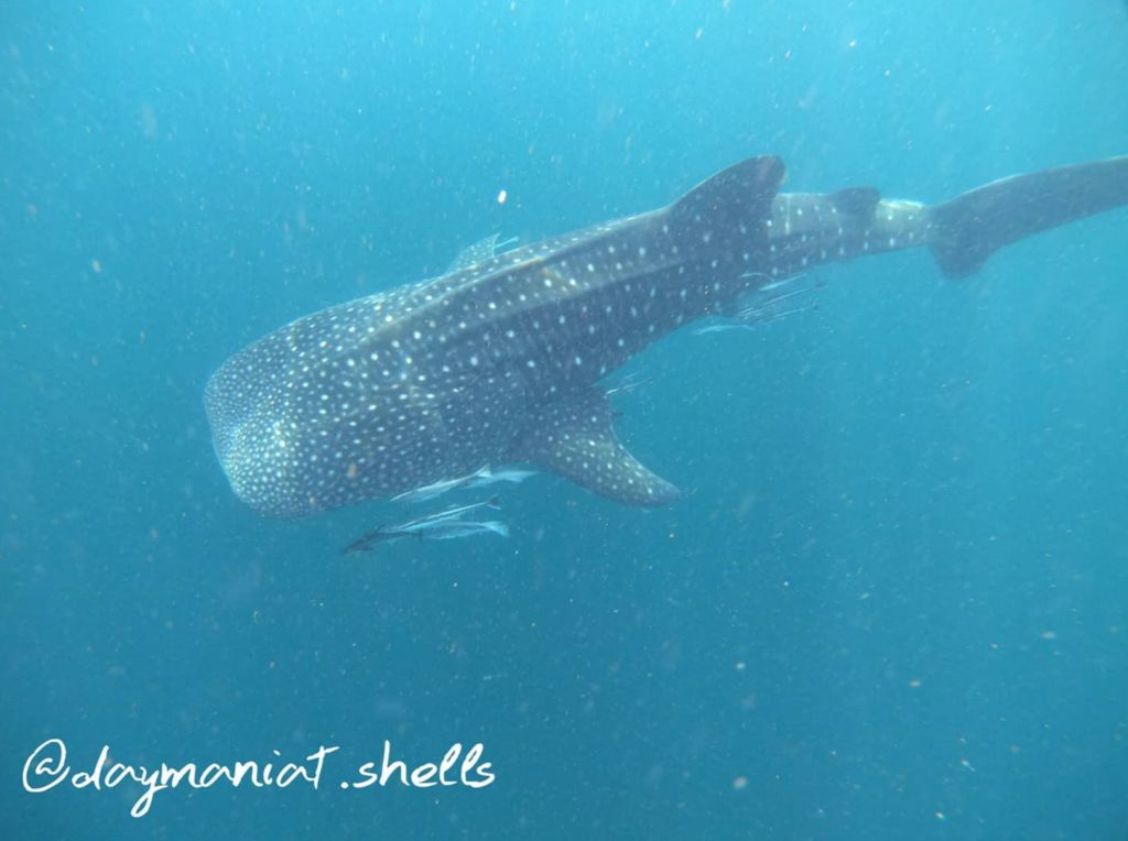 19617ae2-915a-4008-8b6a-fcfb57a6b3b7