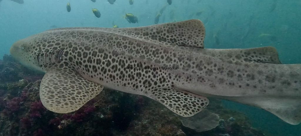 0fe94eda-f944-4ac2-b006-76e240ac5079