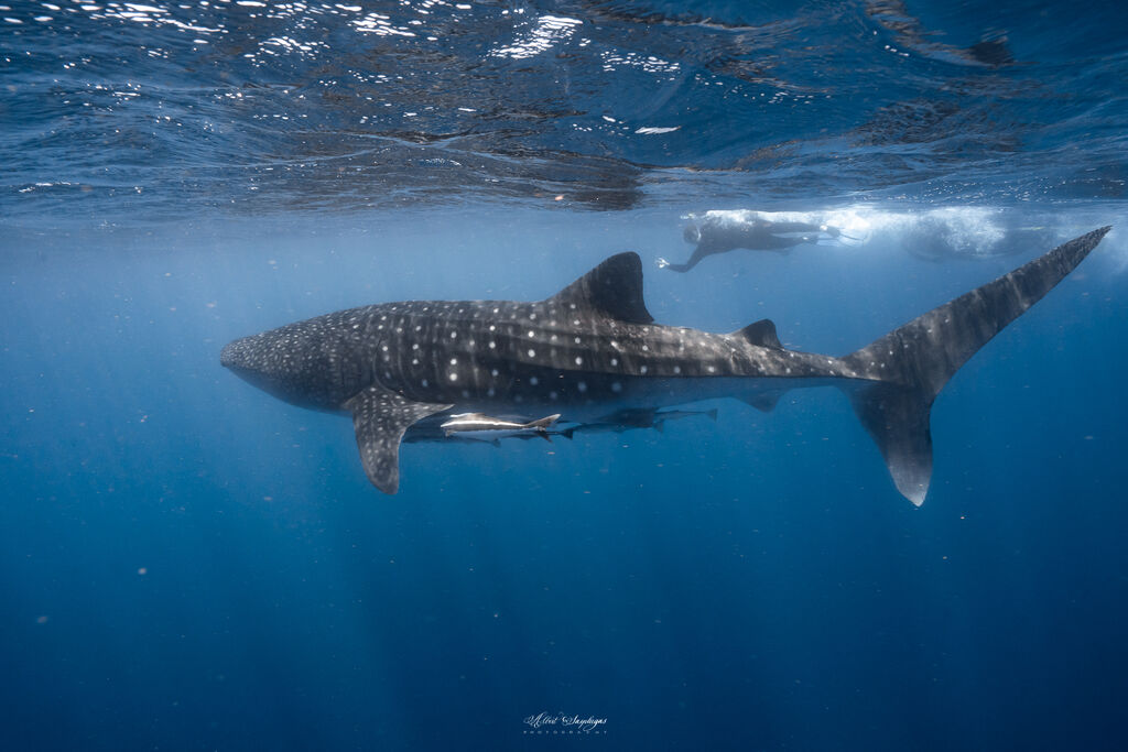 f811686f-7416-441f-874e-b85c7c7b5fc8