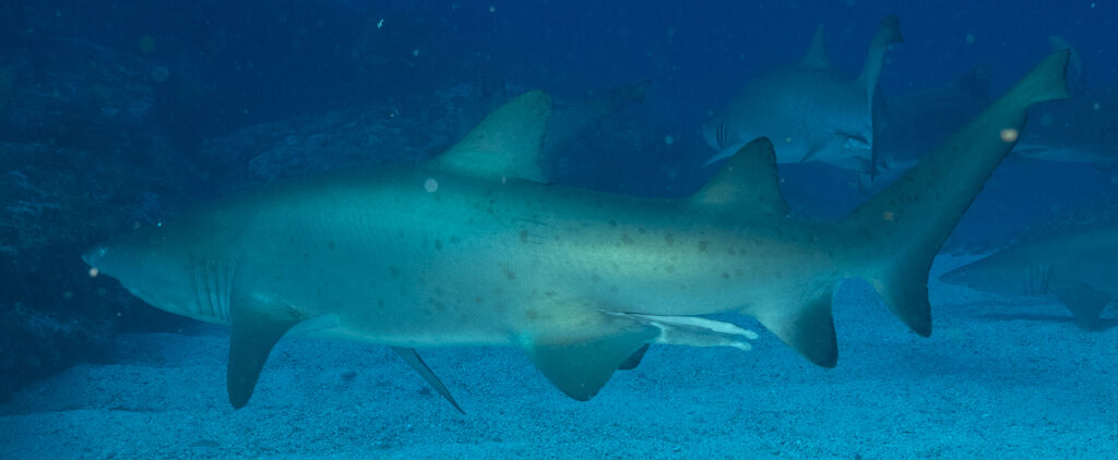 b960af7f-37a6-4e0b-b2b7-233ffaf3c5cd