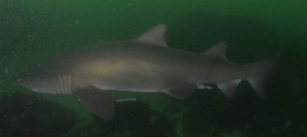 fbc79ca4-b1dc-4d8c-98b6-97c85034a9cf