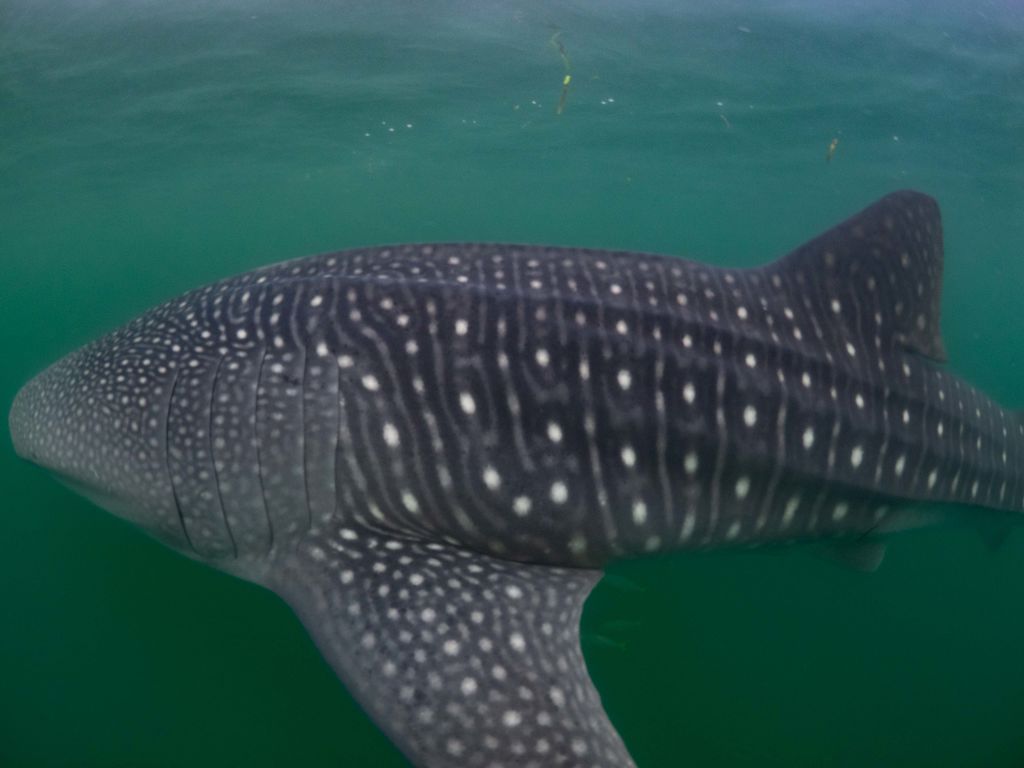 3102879b-a71b-4cd7-a2a6-fc49aa62c365