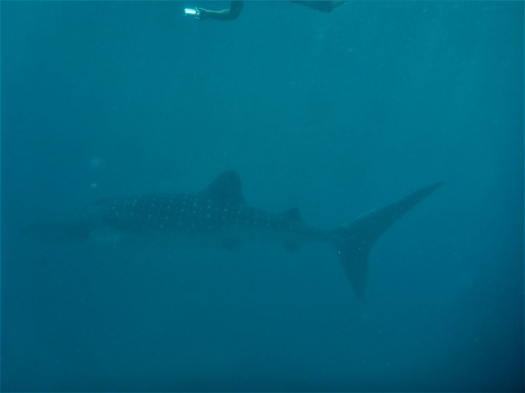 a18178b6-757f-4230-a56c-7336feacb819