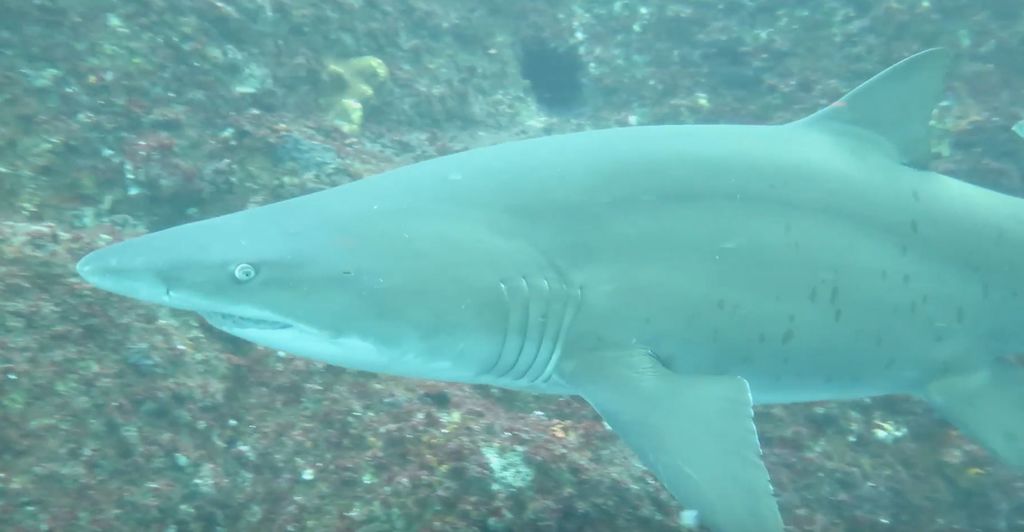 8ef6fc2c-7a7c-46ed-a458-373fc5dcca07