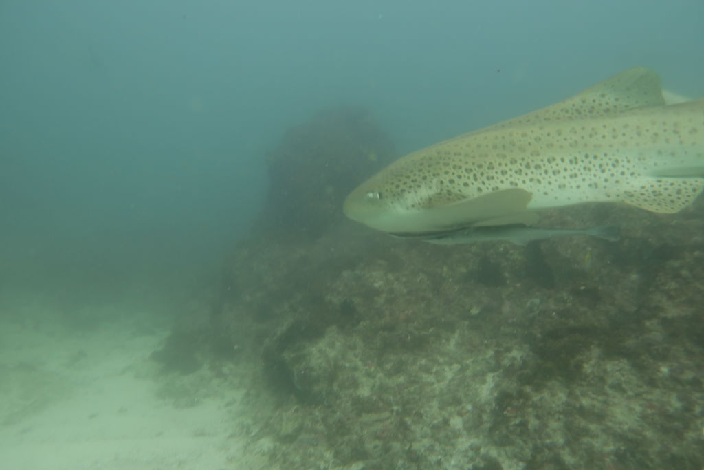 2915f28a-c58d-4bf9-856c-5eeee715a3b9