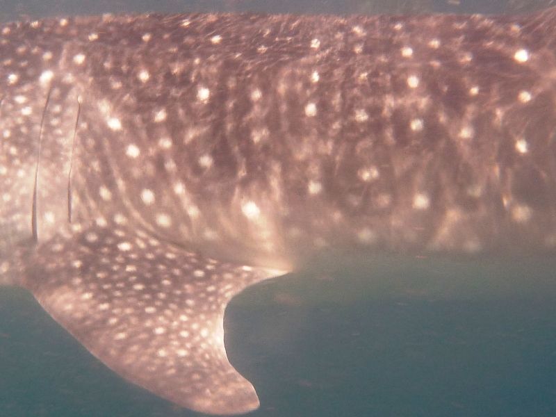 3bfdd2ae-d8c6-4bbd-9231-9c0a3a13bbe9