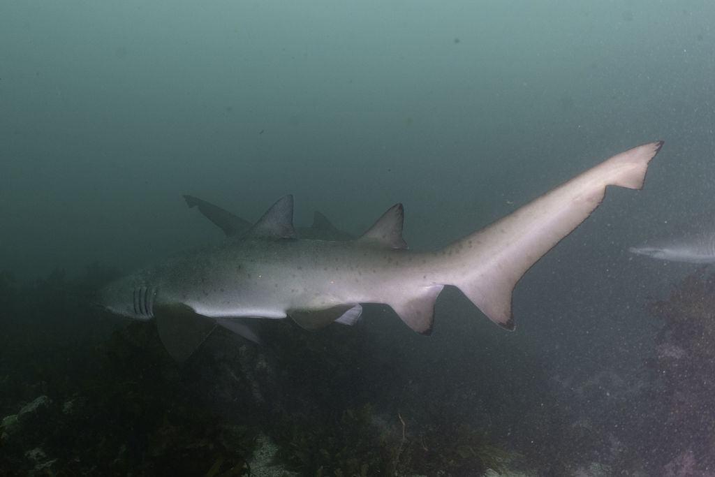 1786f04e-901b-4dcb-90a0-fba782d5de38