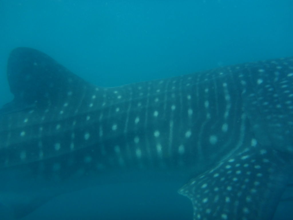 2b2bc93c-1c1c-4f0c-88e4-19005e1b7d7b