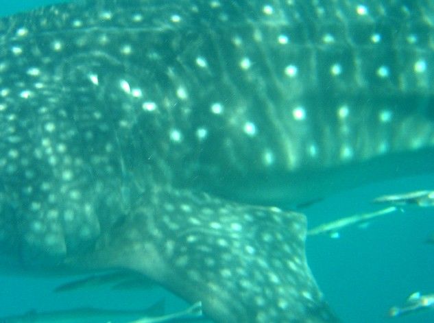 30b00941-f1c4-45bd-897f-8302580178ff