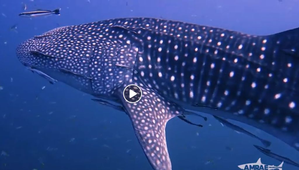 b71ff7b2-adfb-4a16-bfb3-6b3cbe07243f