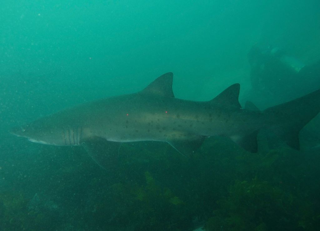 bcbfc54a-e7ef-426e-a7e4-d278dabd5ffa